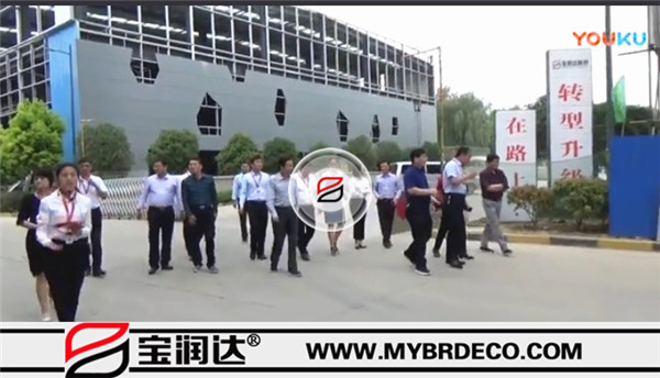 張雪飛市長，住建部長處長一行來訪寶潤達